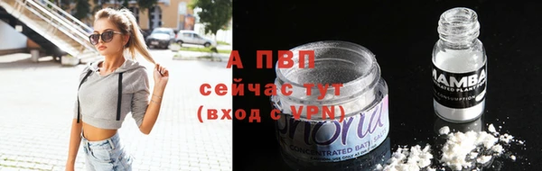 a pvp Бородино