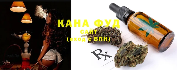 a pvp Бородино