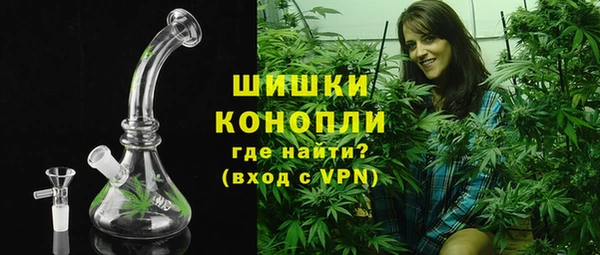 a pvp Бородино