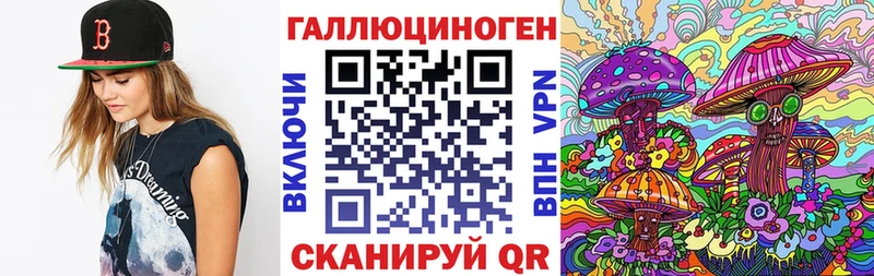 omg ТОР  Сызрань  Галлюциногенные грибы Psilocybine cubensis 