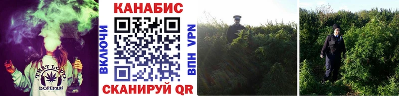 omg как войти  Сызрань  Марихуана ГИДРОПОН 